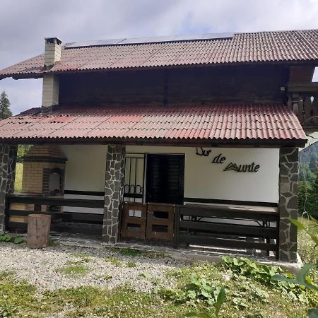 La Cabana Băile Borşa Extérieur photo